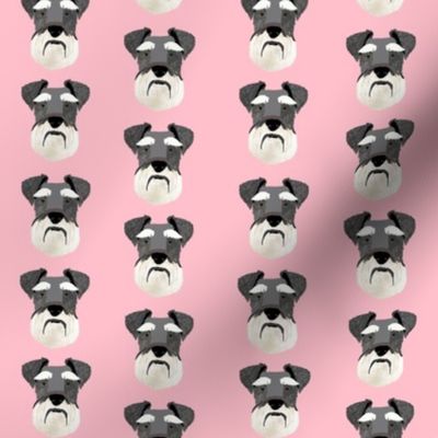 schnauzer head fabric dog head fabric dogs pets pet fabric - pink