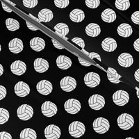 One Inch Black and White Volleyballs on Black