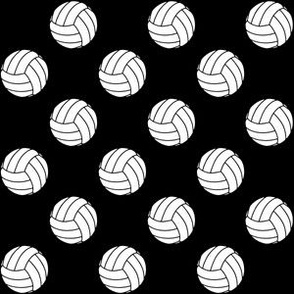 One Inch Black and White Volleyballs on Black