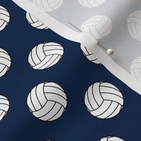 One Inch Black and White Volleyballs on Navy Blue