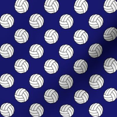 One Inch Black and White Volleyballs on Midnight Blue