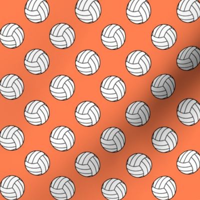 One Inch Black and White Volleyballs on Coral