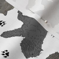 Trotting Bouvier des Flandres and paw prints - white