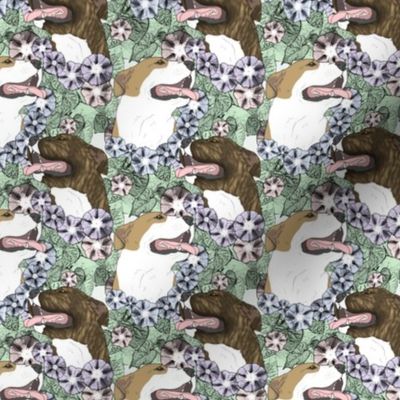 Small Floral American Pit Bull Terrier portraits B