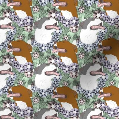 Small Floral American Pit Bull Terrier portraits C