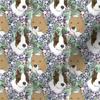 Small Floral American Staffordshire Terrier portraits B