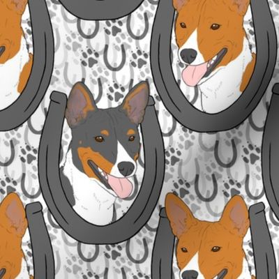 Basenji horseshoe portraits