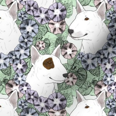 Floral Miniature white Bull Terrier portraits