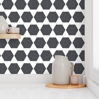 Gray Hexagons on White