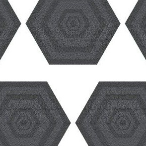 Gray Hexagons on White