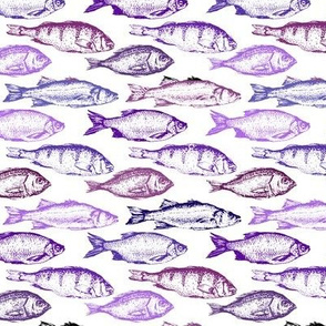 Fish Sketches in Purple Shades // Small