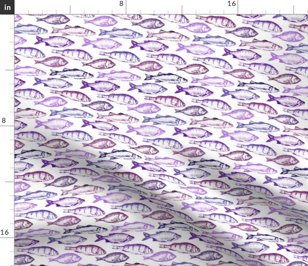 Fish Sketches in Purple Shades // Small