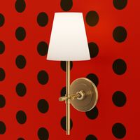 LadyBug Costume Fabric