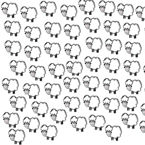 Sheep_flock