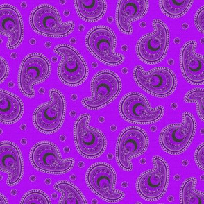 Purple and Gray Peacock Paisley