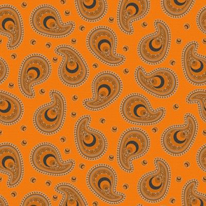 Orange and Gray Peacock Paisley