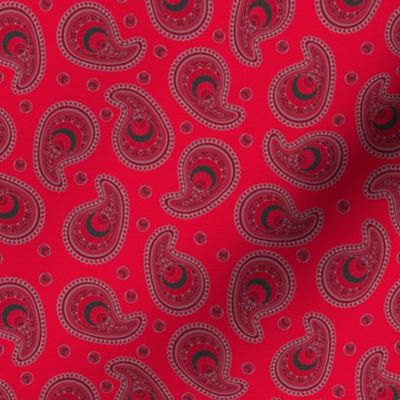 Red and Gray Peacock Paisley