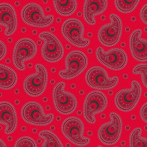 Red and Gray Peacock Paisley