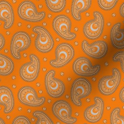 Orange and Light Gray Peacock Paisley