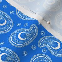 Blue and White Peacock Paisley