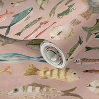 fish in dusky pink 