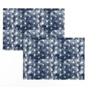 distressed stars on navy