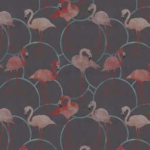 Walk with flamingos