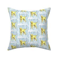 Cooper- Approved - 12 x 16 pillows