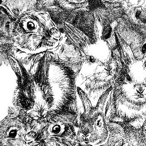 Black and White Rabbits, pencil art look
