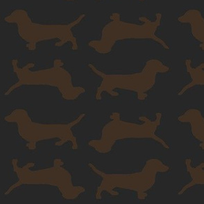 Brown Doxies on Slate Grey