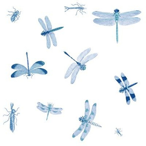 Dragonflies Blue Toile