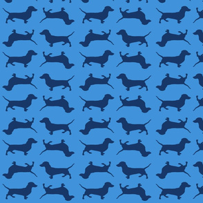 Blue Doxies on Blue