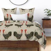 rooster pillow 