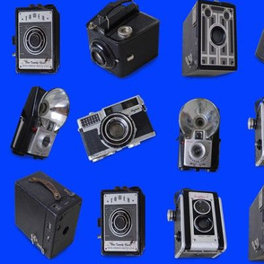 Punahou Blue Vintage Cameras
