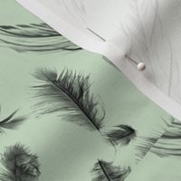 Dusty green feather