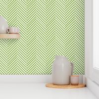 Avocado Green and white chevron