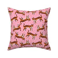 tigers fabric // tiger animal safari fabric andrea lauren - pink and orange