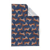 tigers fabric // tiger animal safari fabric andrea lauren - orange and navy