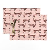 tiger fabric // tigers animals safari fabric - blush