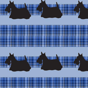 scotty_plaid_pattern