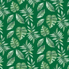 Tropical Leaves Palm Leaf Frawn Banana Water Color on Green