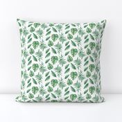 Tropical Leaves Palm Leaf Frawn Banana Water Color on White