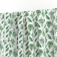 Tropical Leaves Palm Leaf Frawn Banana Water Color on White