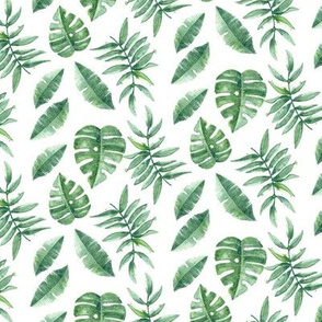Tropical Leaves Palm Leaf Frawn Banana Water Color on White