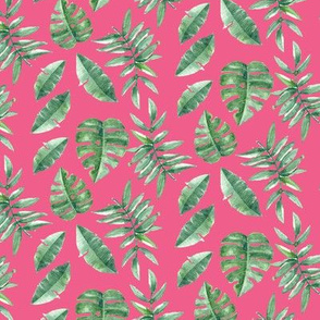 Tropical Leaves Palm Leaf Frawn Banana Water Color on Pink