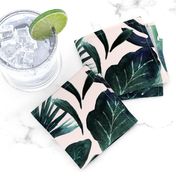 tropical Leaves Blush