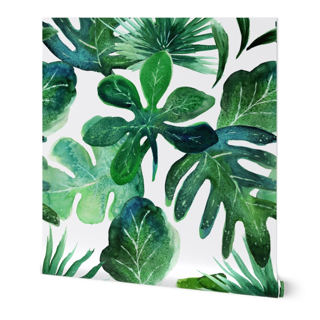 Tropical Leaves