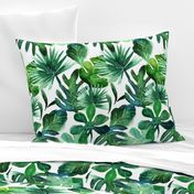 Tropical Leaves