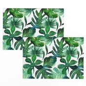 Tropical Leaves