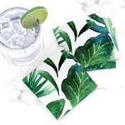 Tropical Leaves